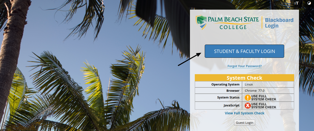 Palm перевод на русский. Palm Beach State College. Palm Beach Смик. Beach перевод.